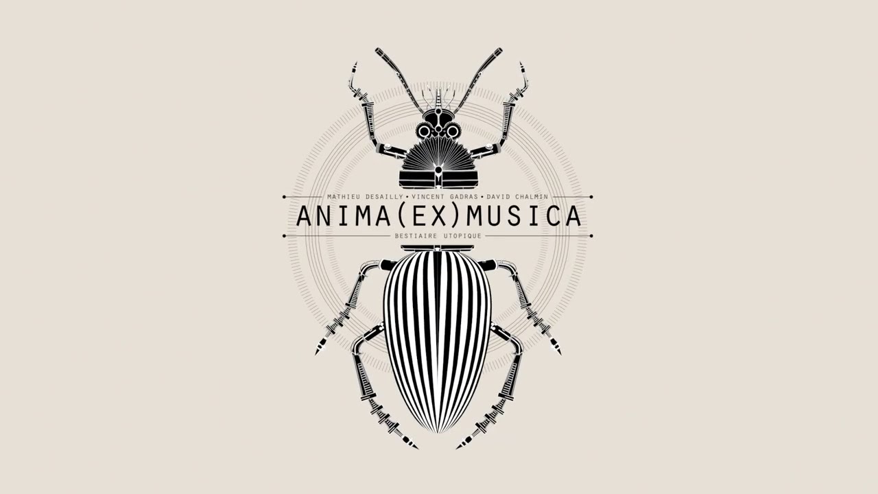 Anima(ex)musica Teaser